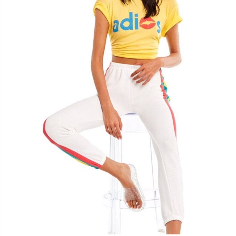 Wildfox Spectrum Knox Pants